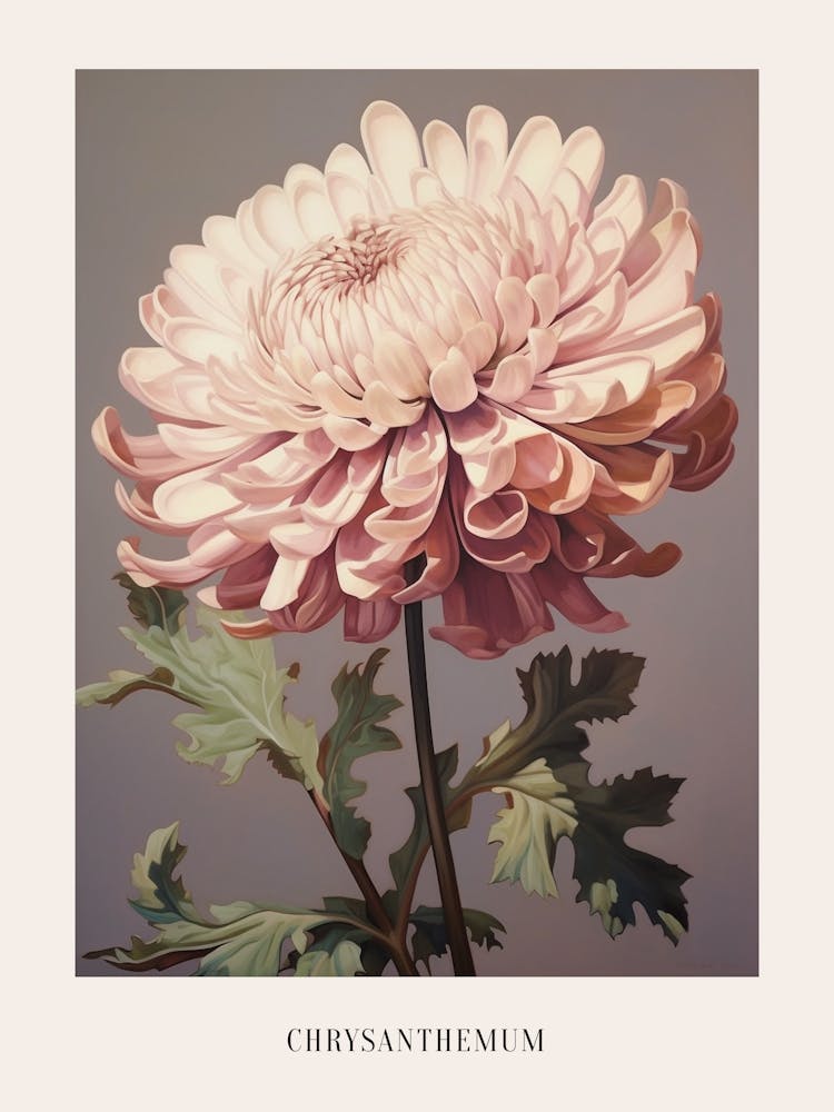 Illustration Florale Chrysanthème 2 Affiche