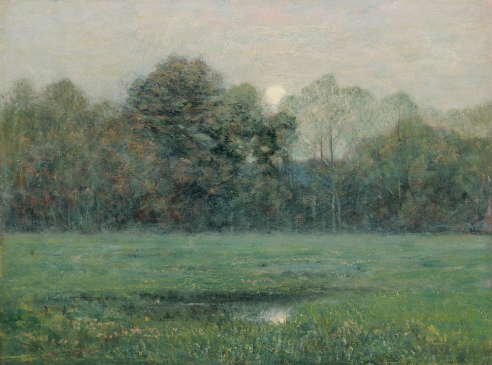 Moonlight Over A Field
