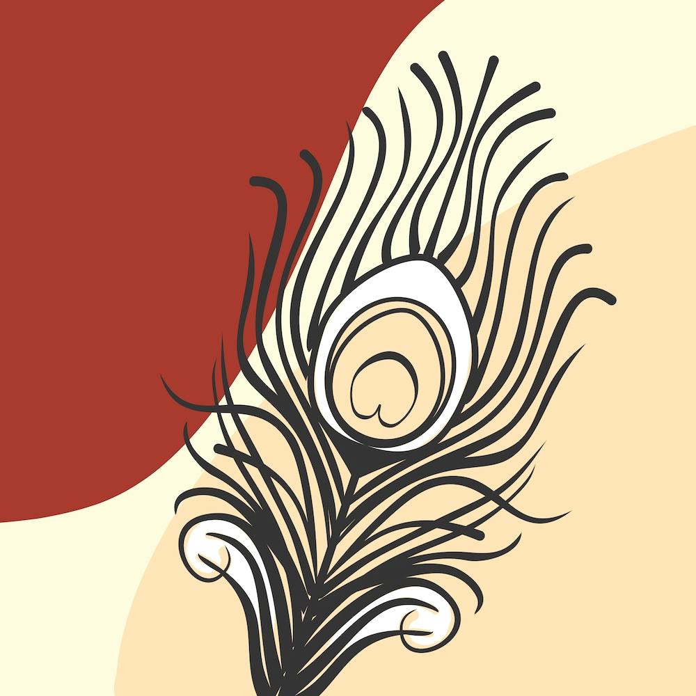 Boho Peacock Feather