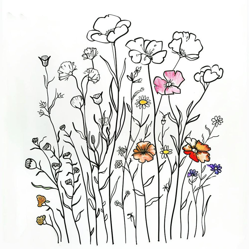 Hand Drawn Wildflowers Line Art 10