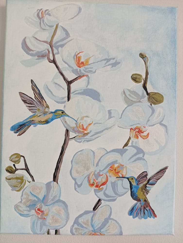 Hummingbirds And Orchids