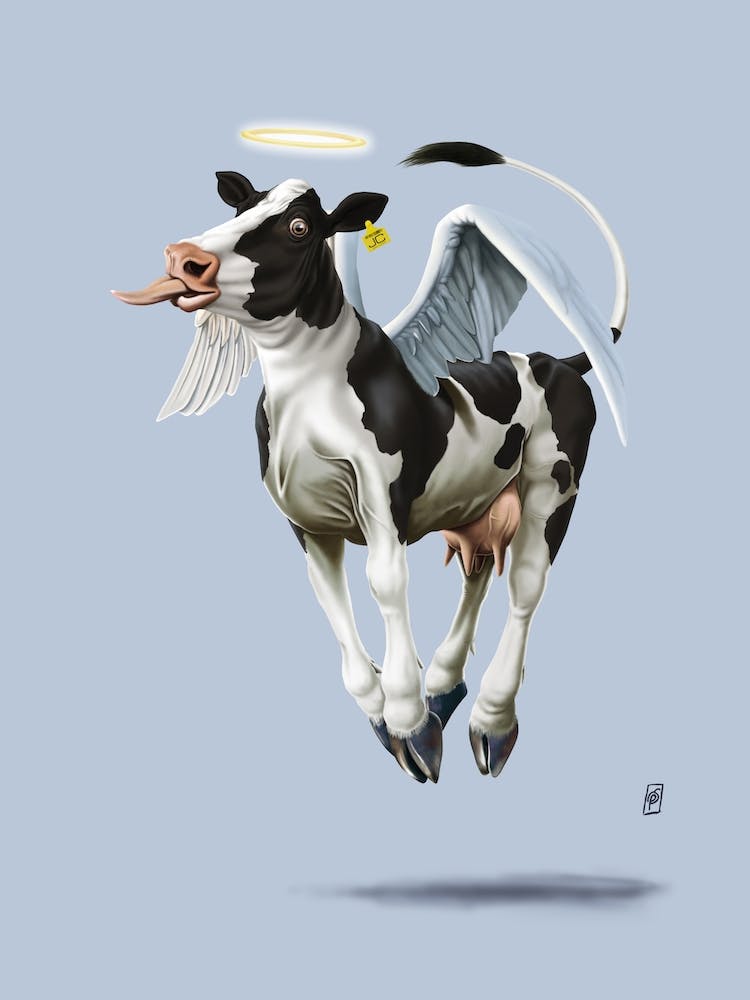 Holy Cow (Colour)