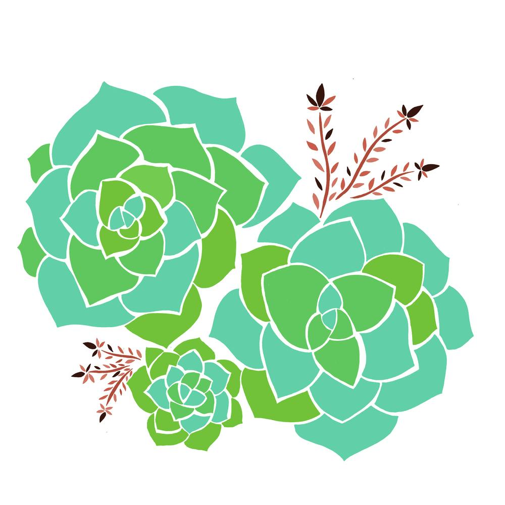 Succulents
