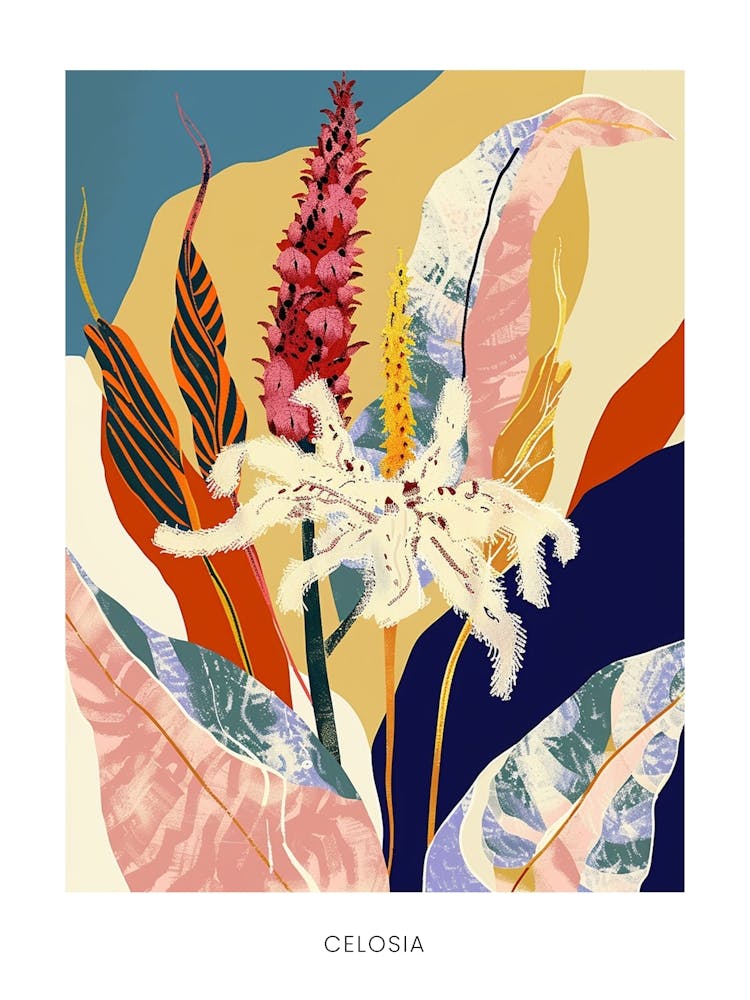 Colourful Flower Illustration Poster Celosia 3