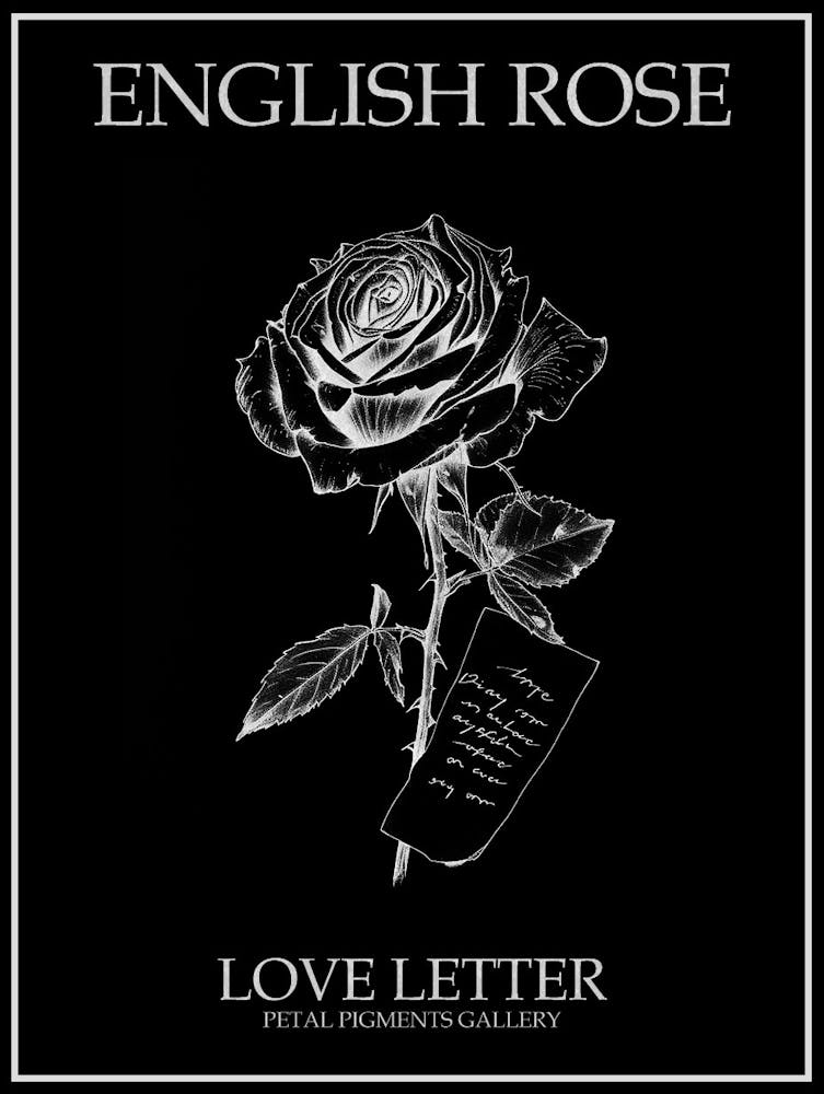 English Rose Love Letter Line Drawing 4 Poster Inverted