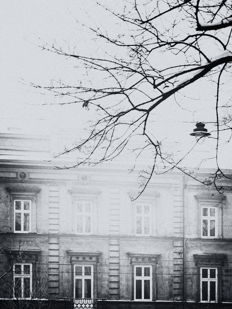 Winter In Krakow