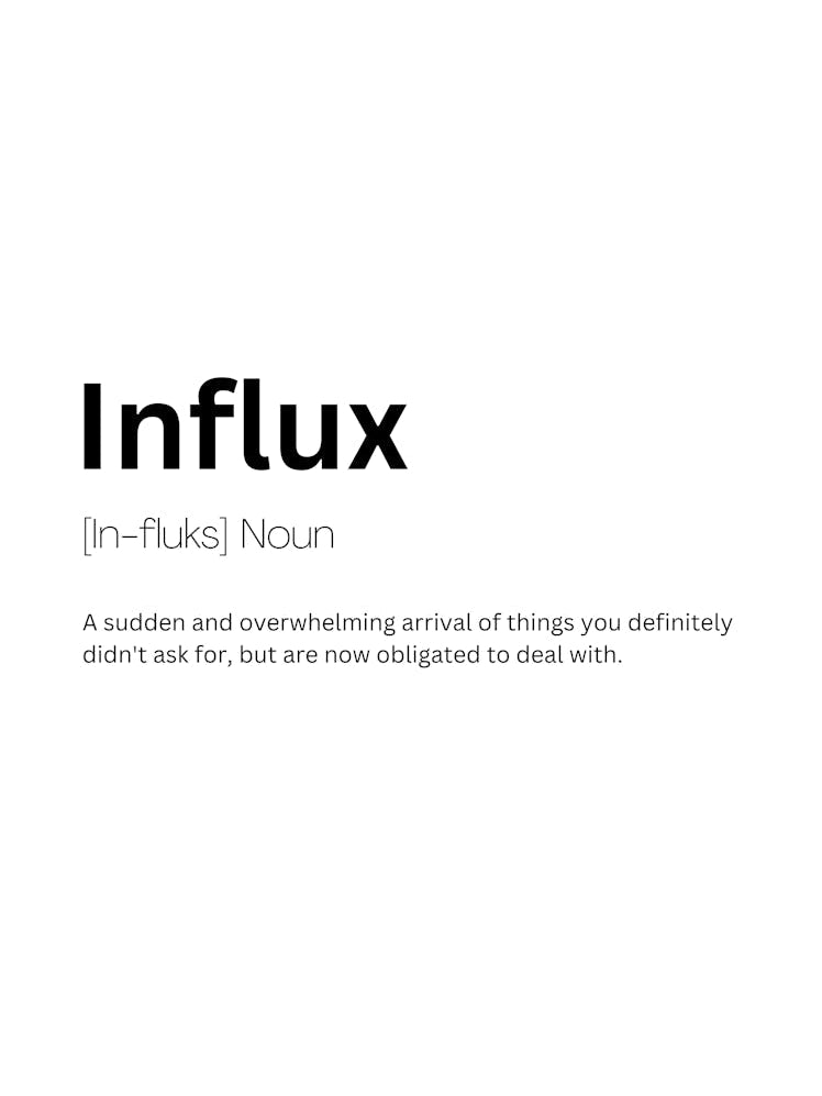 Influx Definition Meaning