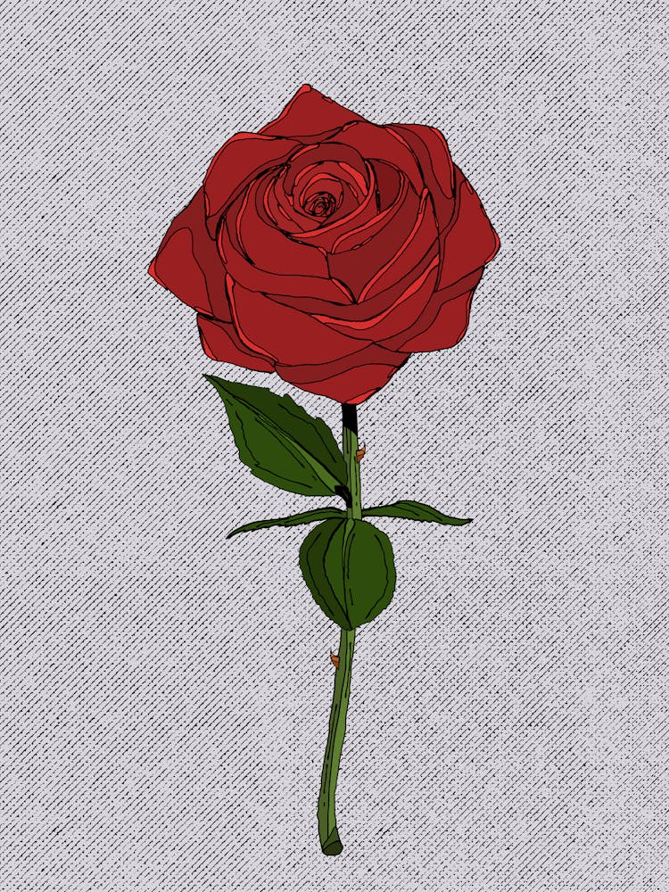 Rose Rouge