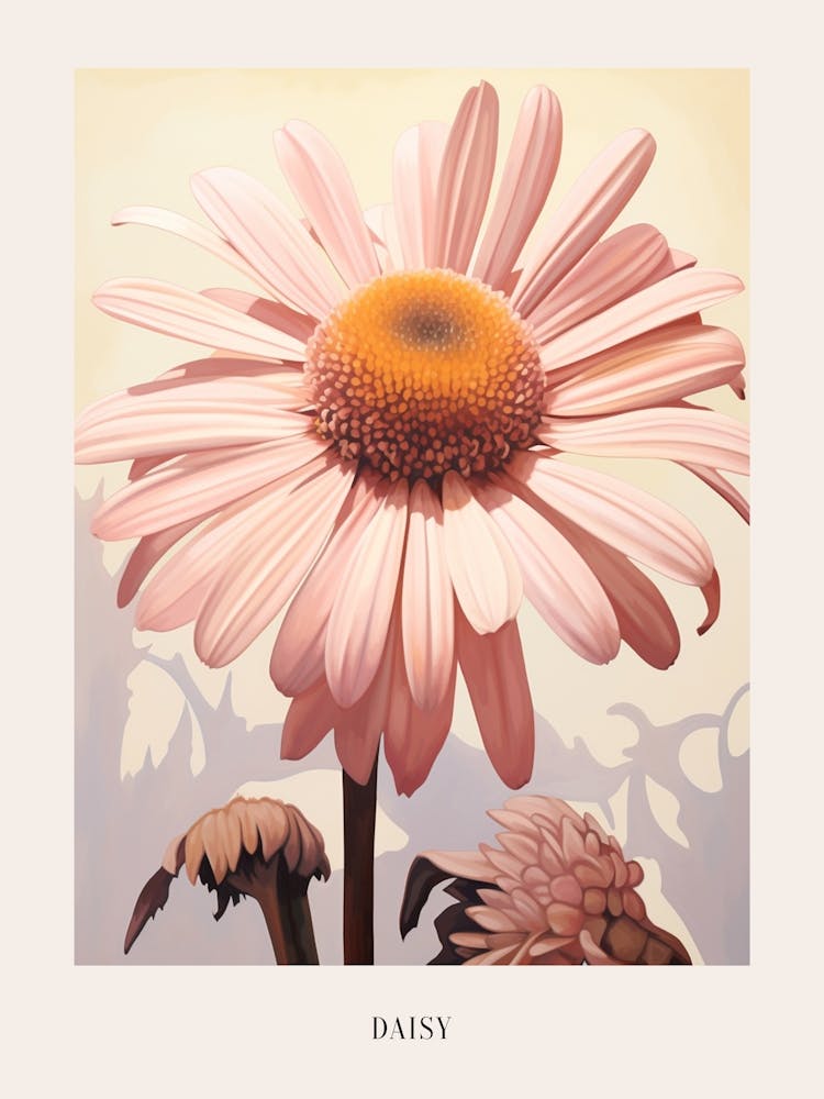 Floral Illustration Daisy 2 Poster