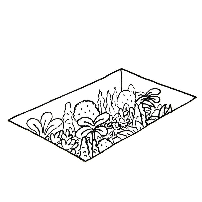 Plantpool