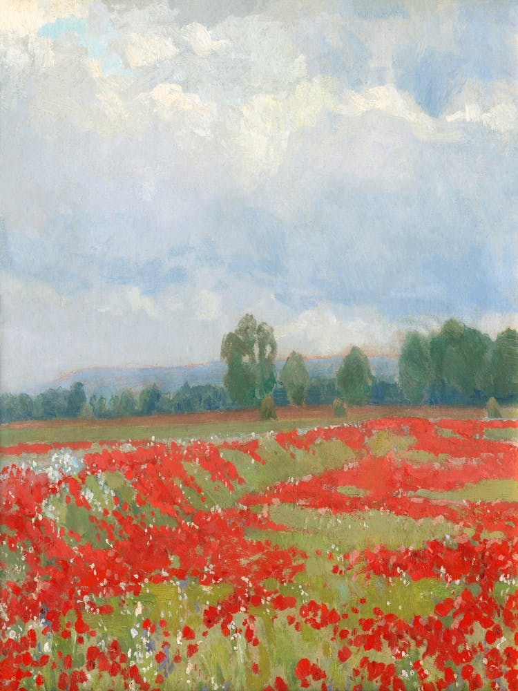 Poppy Field 1