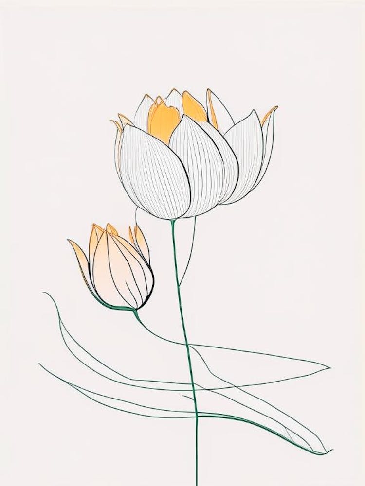 Lotus Flower In Garden Minimal Line Drawing 2