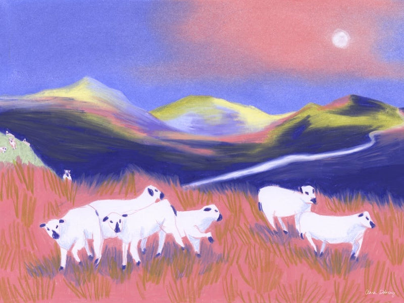 The Herd