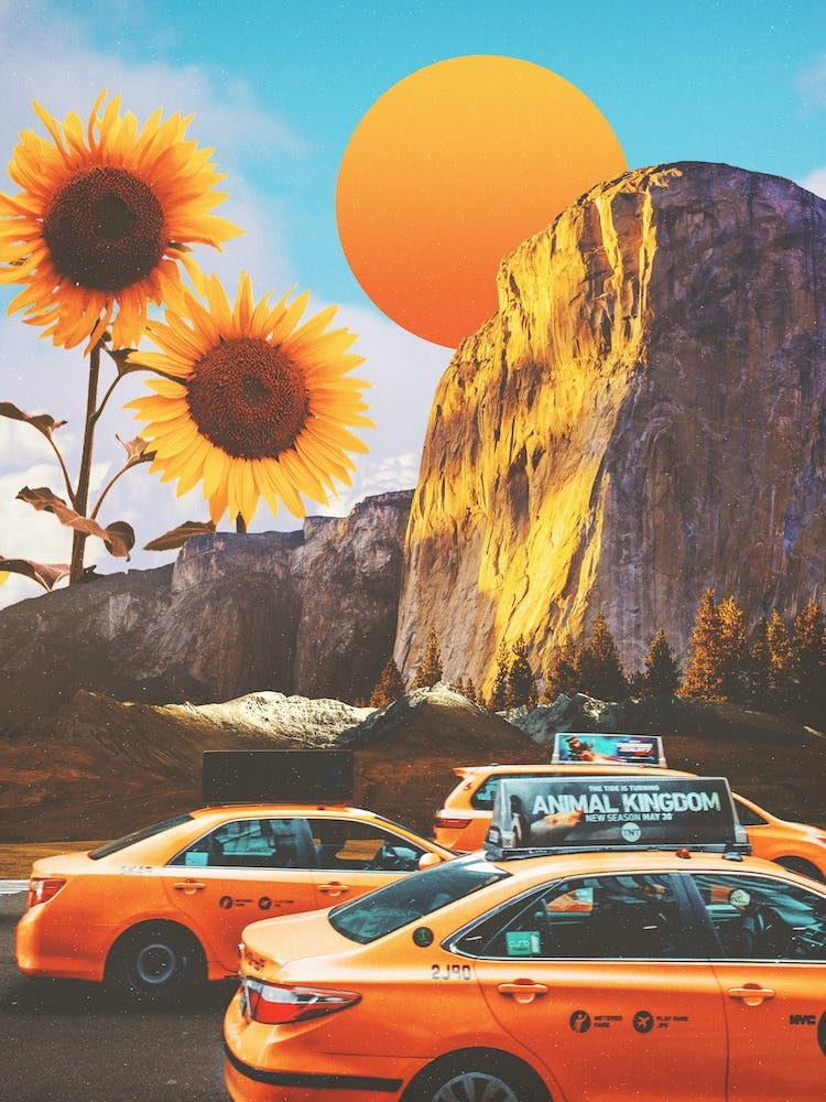 Sunflowerland