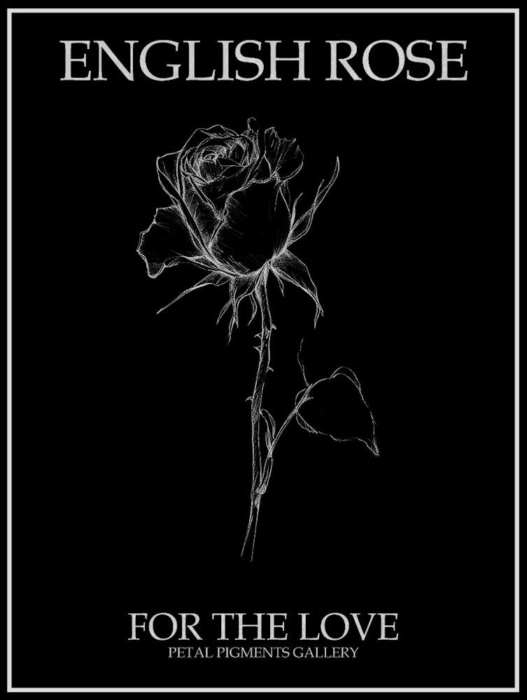 English Rose Black And White Line Drawing 35 Poster Inverted