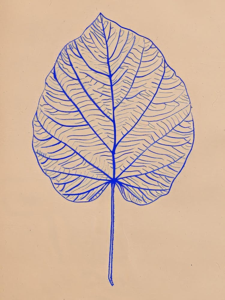 Leaf illustration