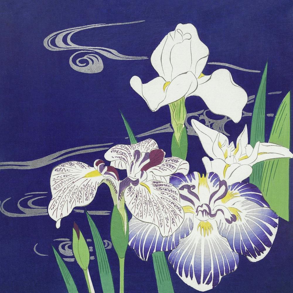 Irises By Kogyo Tsukioka