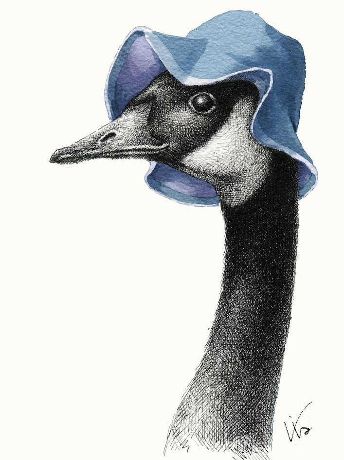 Portrait Of Canadian Goose