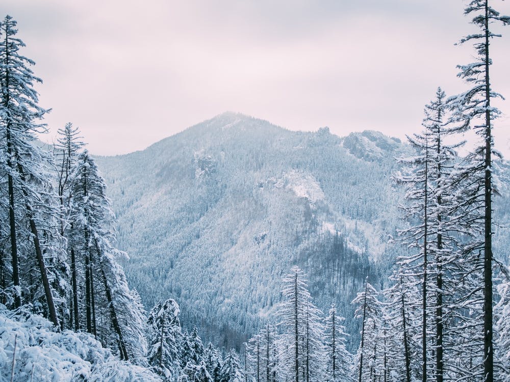 Frozen Mountains