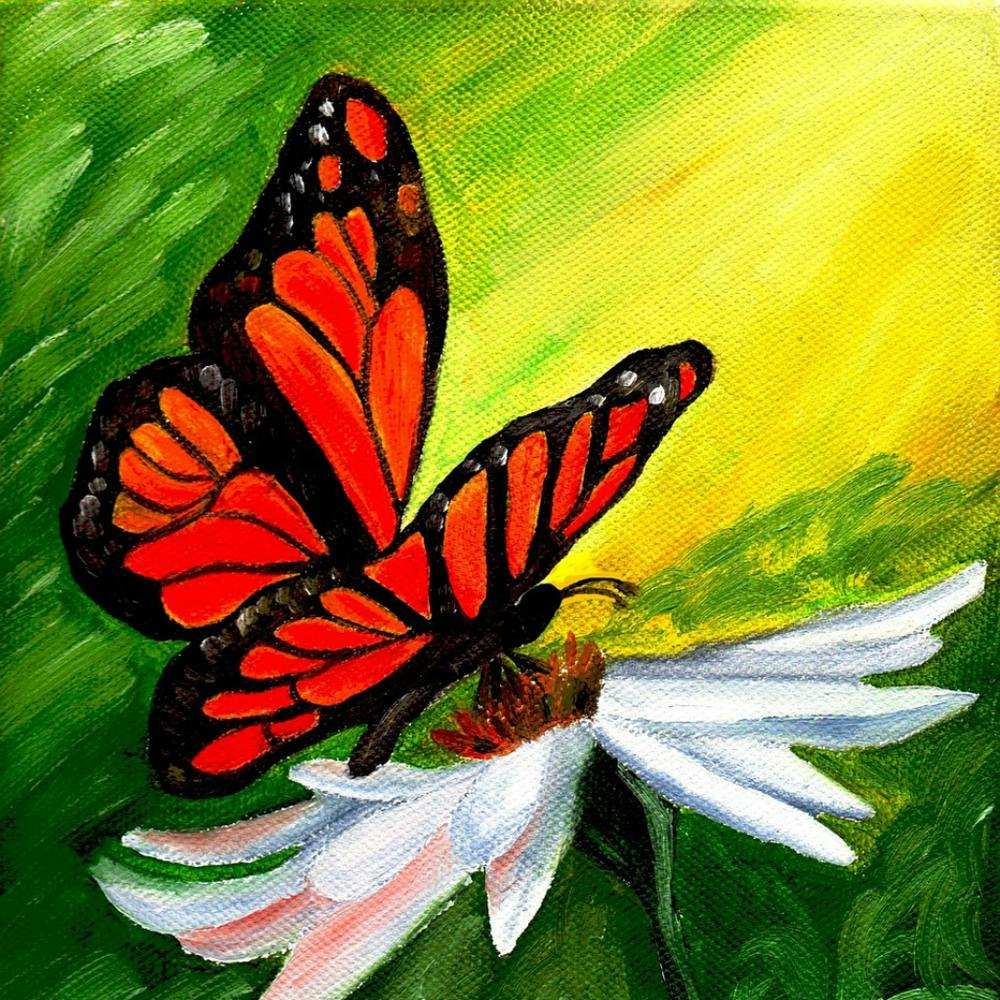 Butterfly On A Flower 1