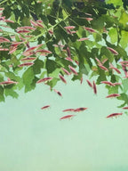 Krill Storybook Watercolour