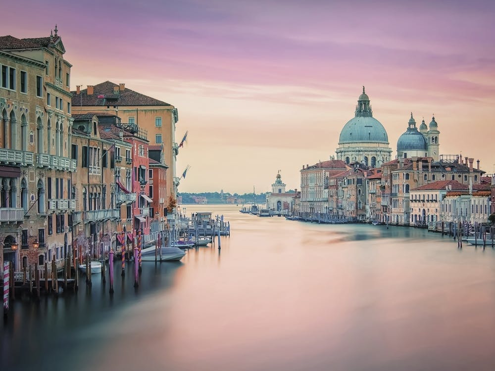 Venise Rose