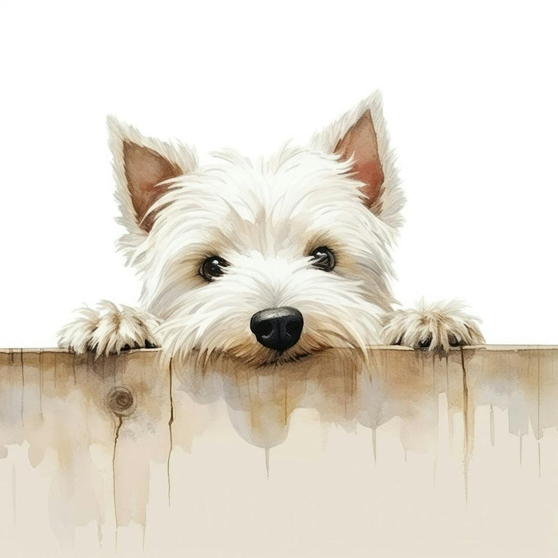 West Highland White Terrier Dog 1