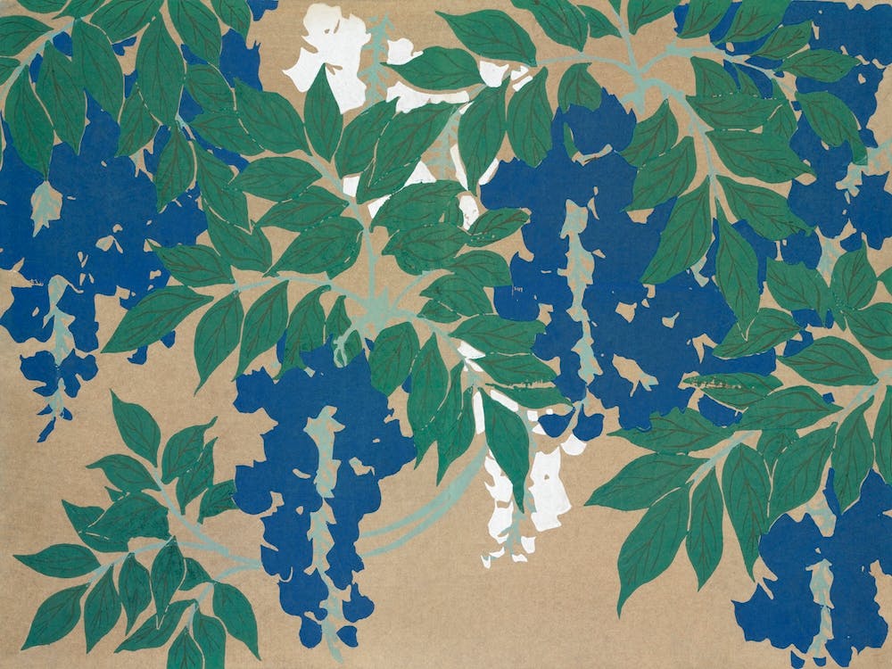 Birds From Momoyogusa –Flowers Of A Hundred Generations, Kamisaka Sekka (8)