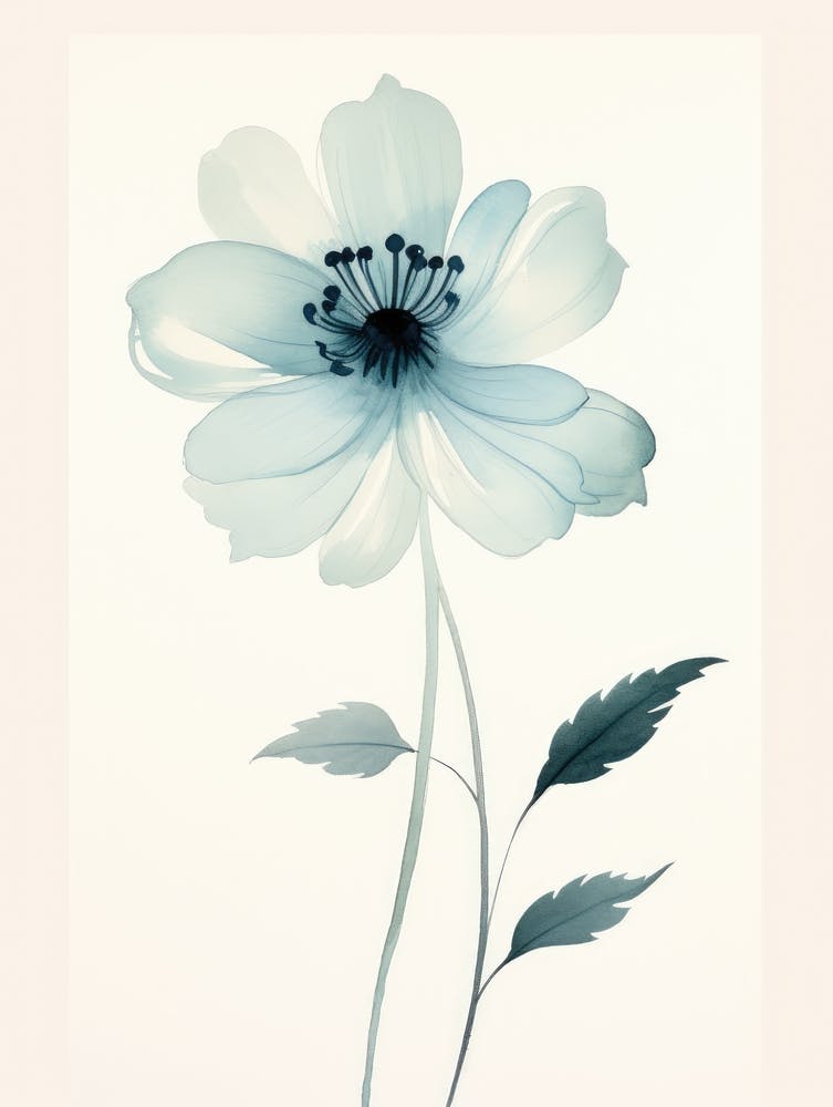 Blaue Anemonenblume 1