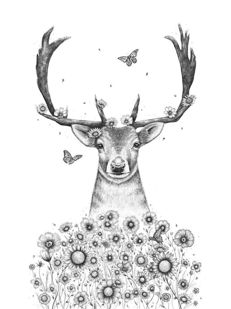 Deer In Flowers