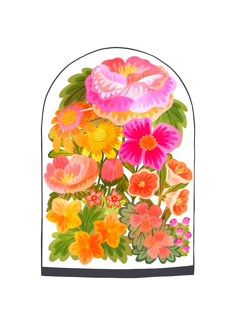 Pink And Orange Flowers