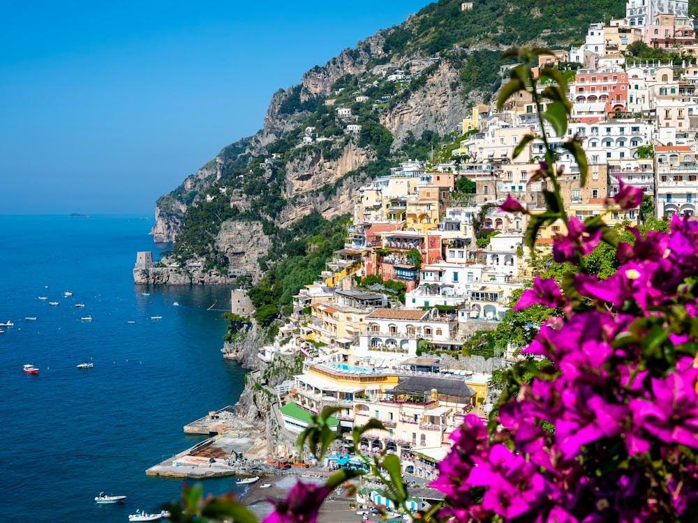 Positano Bougainvillea Horizontal For Fy 1 Of 1