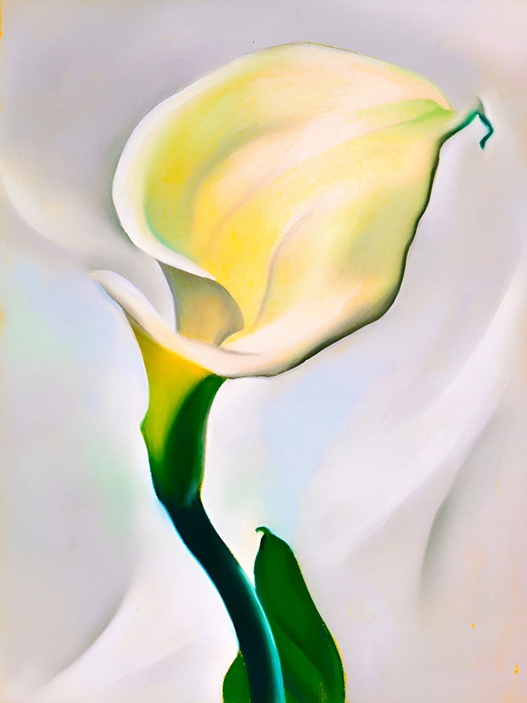 Georgia O'Keeffe - Calla Lily Turned Away . 1923