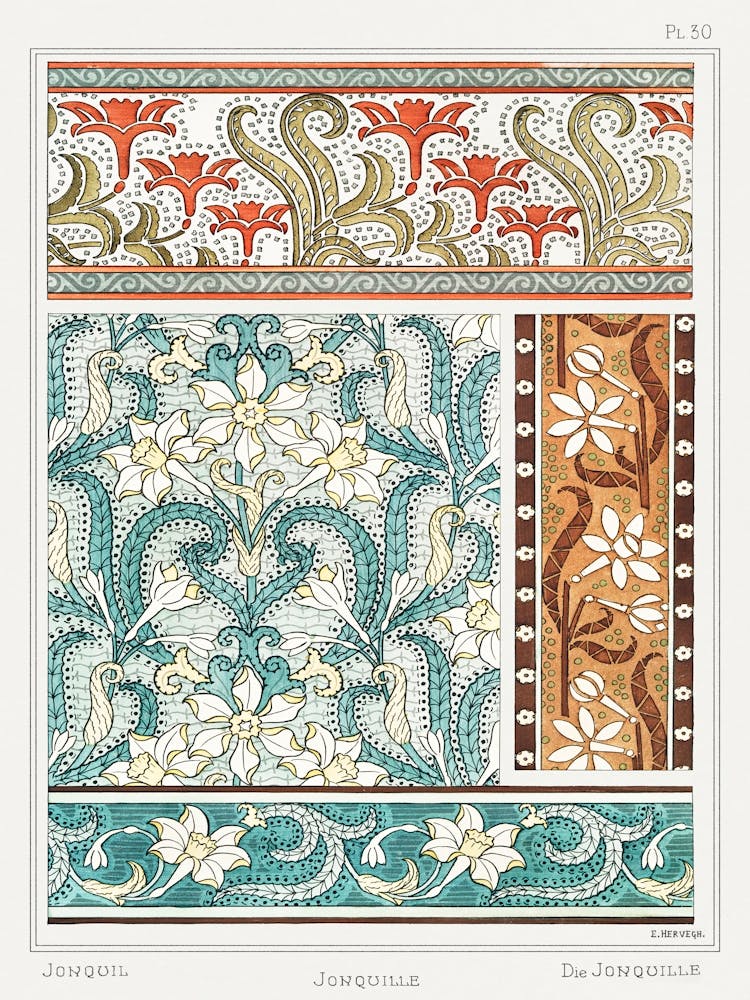 Jonquille Or Jonquil From The Plant And Its Ornamental Applications (1896), Maurice Pillard Verneuil
