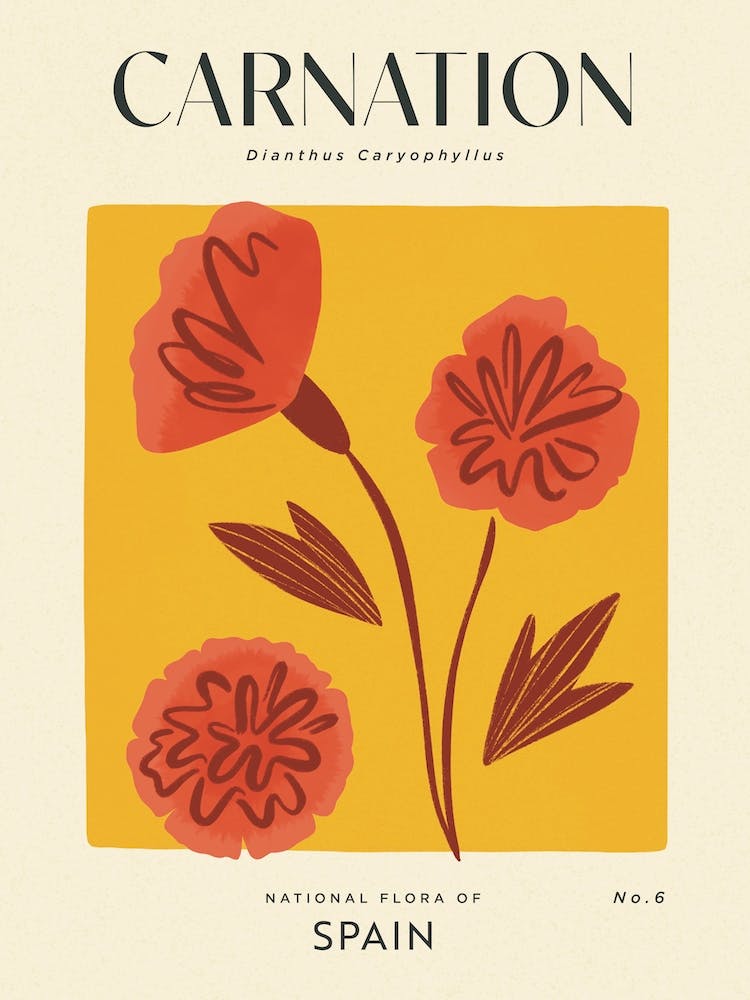 Vintage Yellow And Red Carnation Flower Of Spain