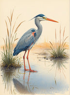 Heron In Water 1