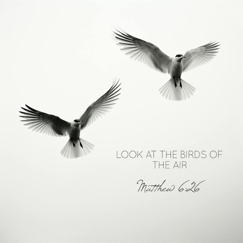Look At The Birds Of The Air