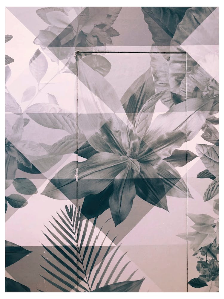 Retro Pink and Black Flowers Pattern