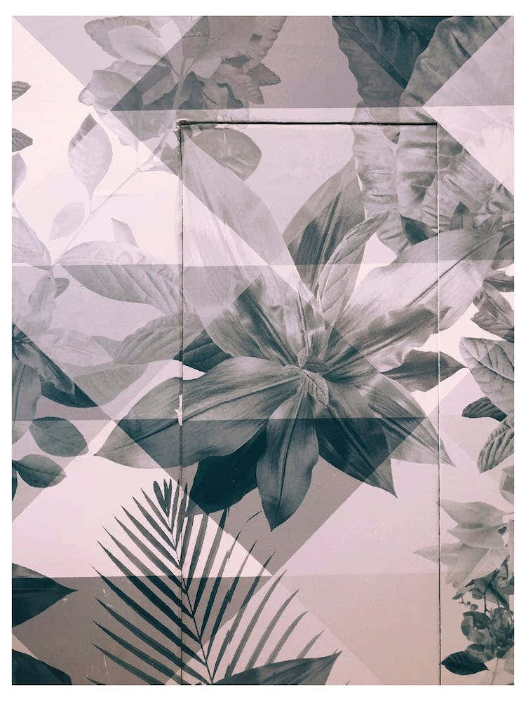 Retro Pink and Black Flowers Pattern