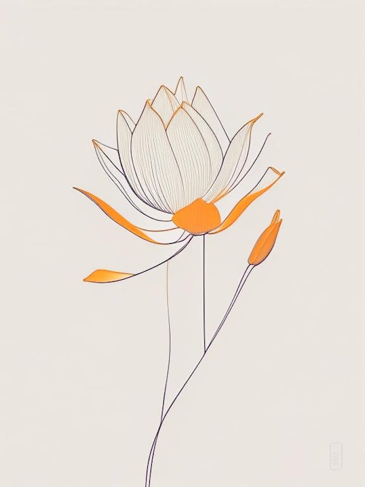 Amur Lotus Minimal Line Drawing 1