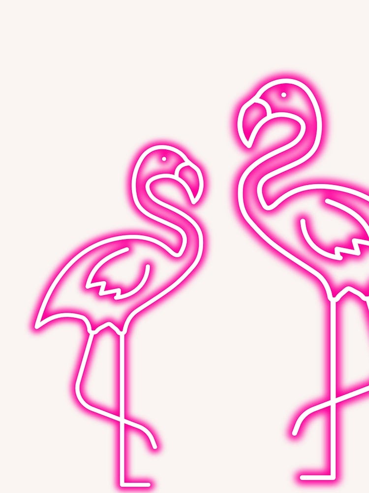 Neon Flamingos