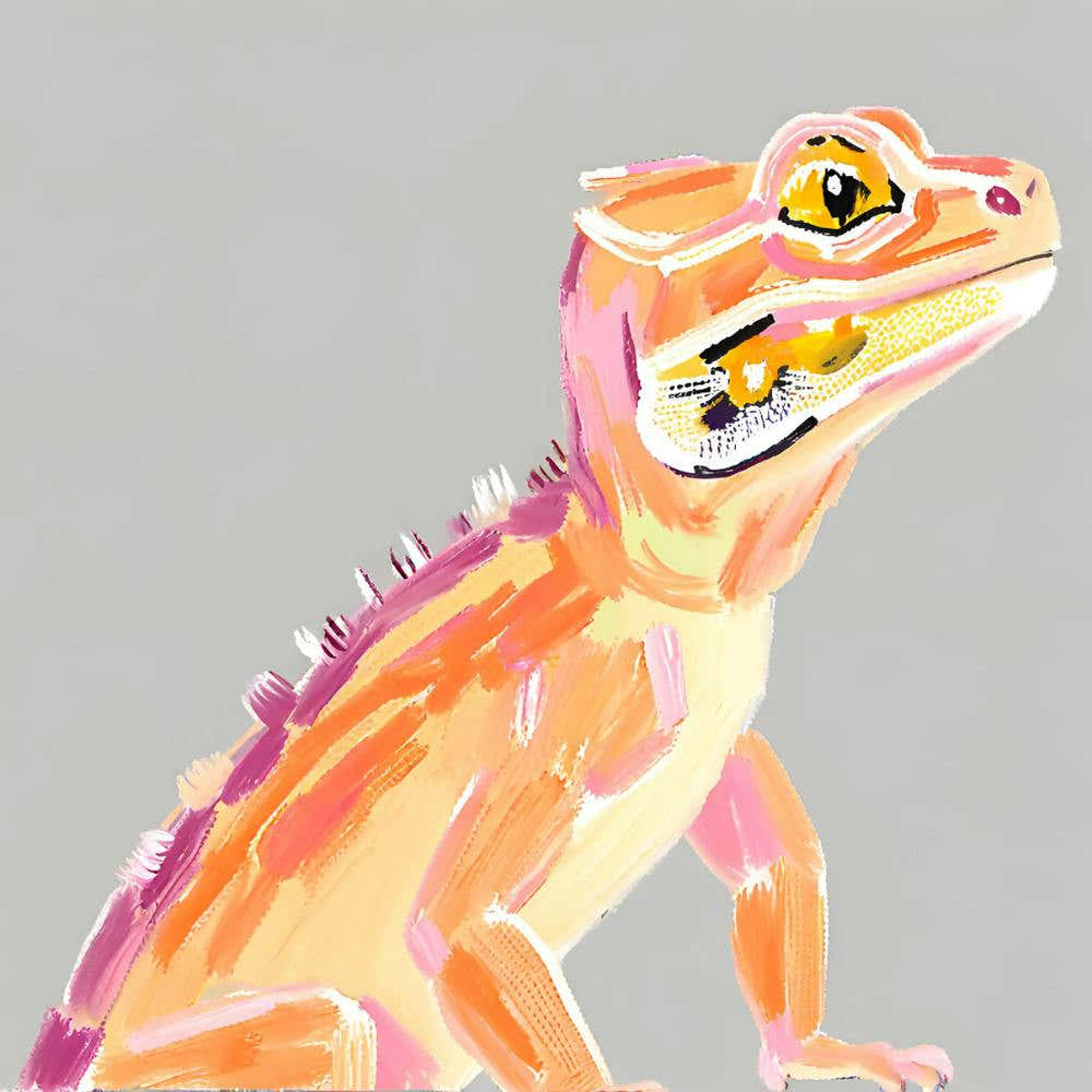Bearded Dragon Lizard 08