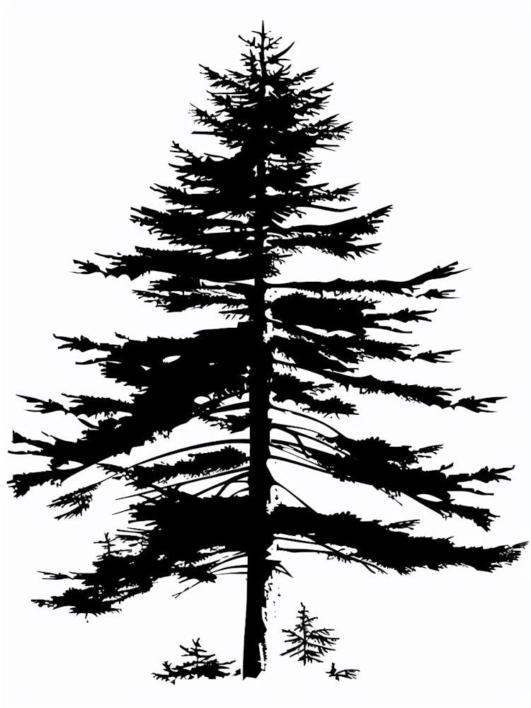 Cedar Tree Simple Geometric Nature Stencil 1