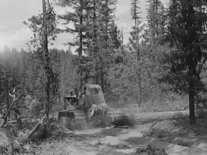 Grant County, Oregon, Malheur National Forest, Diesel Caterpillar Tractor Snaking Logs Out Of Woods By Russell Lee 1