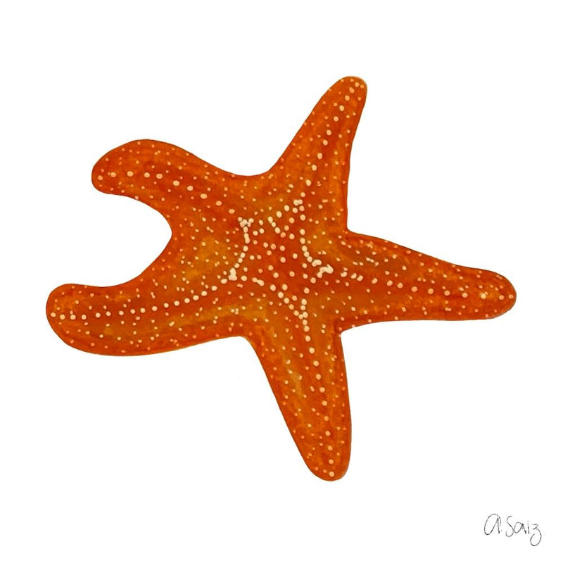 Orange Satrfish