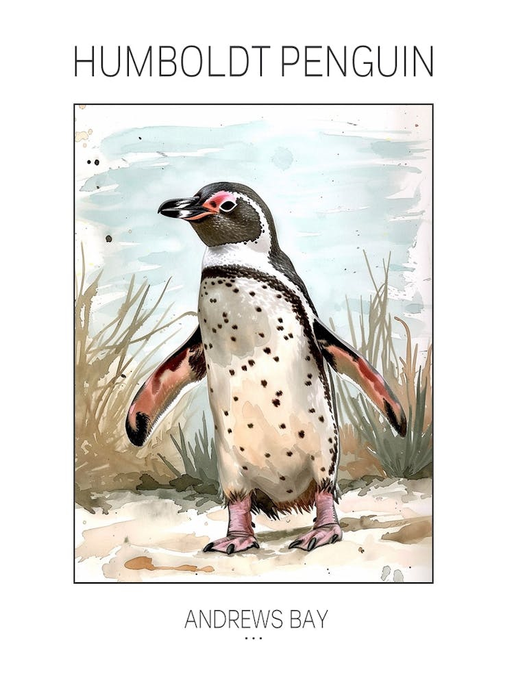 Humboldt Penguin Andrews Bay Watercolour Painting 4 Poster