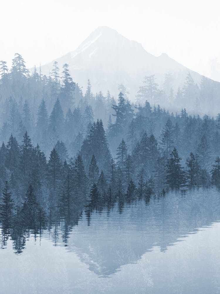 Mount Hood Forest Lake Reflection