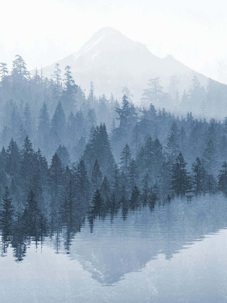 Mount Hood Forest Lake Reflection