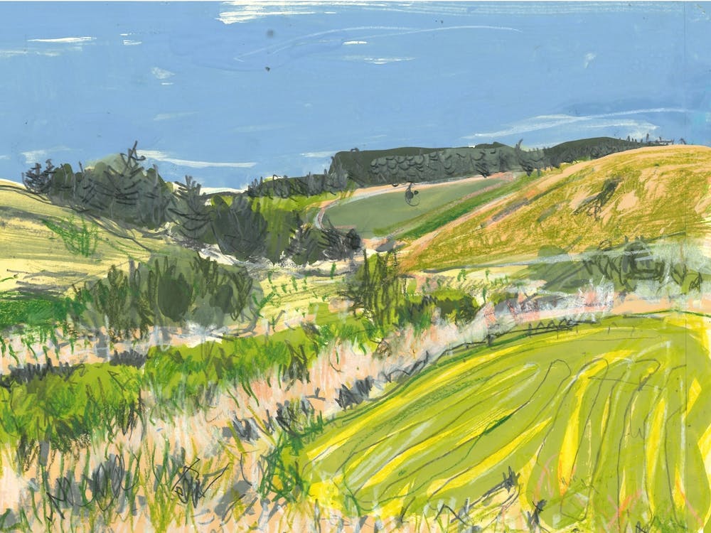 Autumn In The Borders 