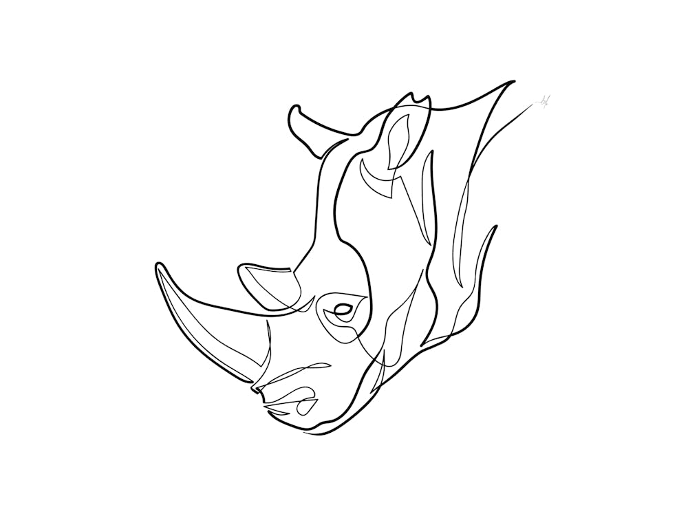 Rhino